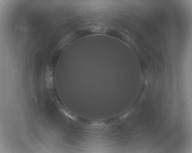 X0000083071154200702021247