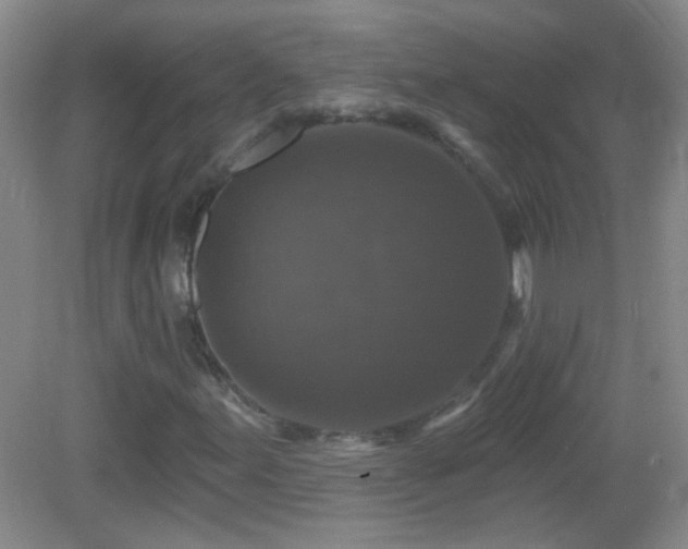 X0000083071155200702021247