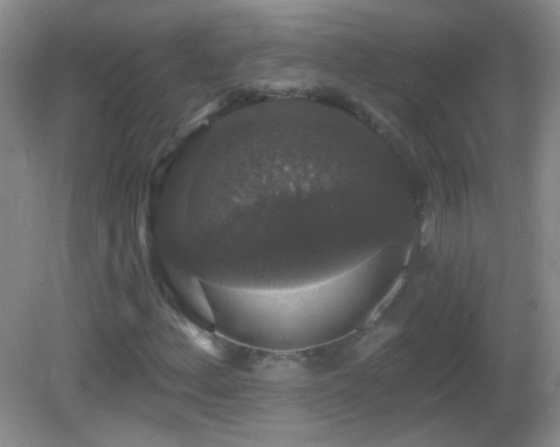 X0000083071156200702021247