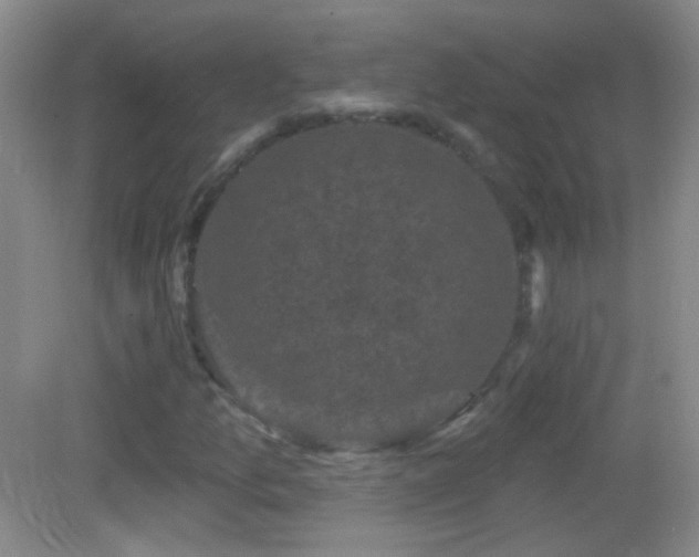 X0000083071157200702021247