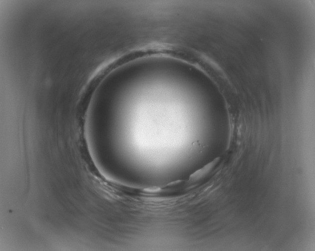 X0000083071160200702021247
