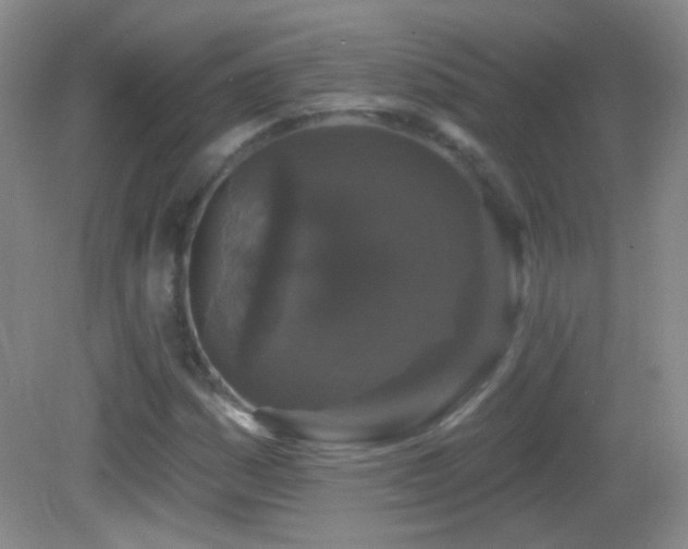 X0000083071161200702021247
