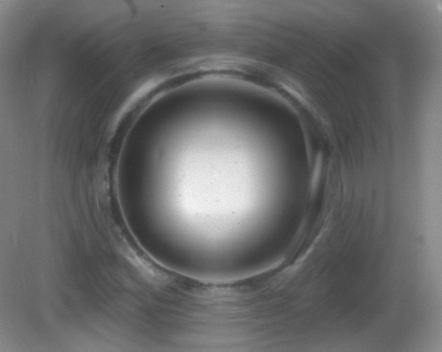 X0000083071164200702021247