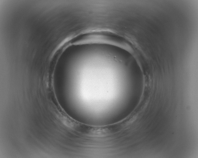 X0000083071165200702021247