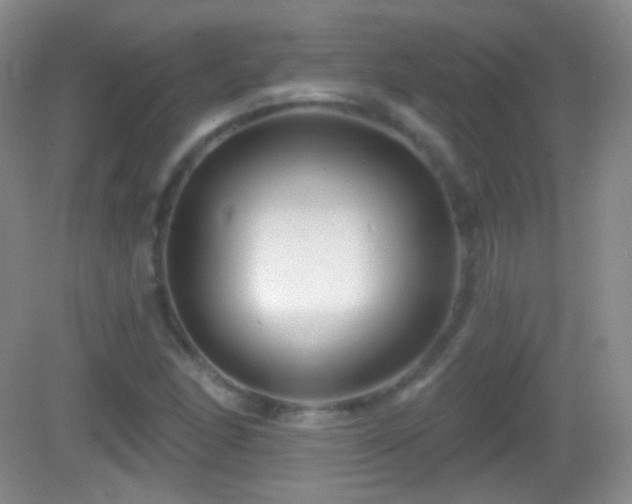 X0000083071166200702021247