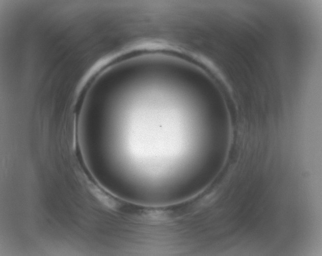 X0000083071175200702021247