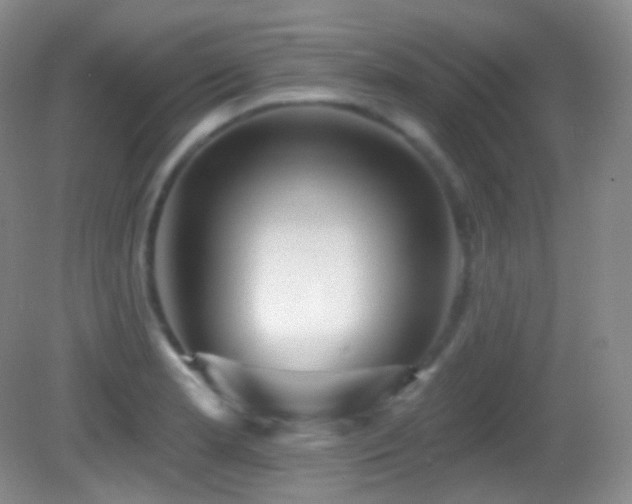 X0000083071181200702021247
