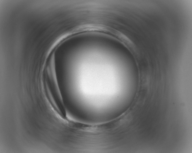 X0000083071182200702021247