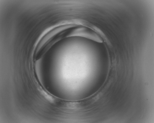 X0000083071184200702021247