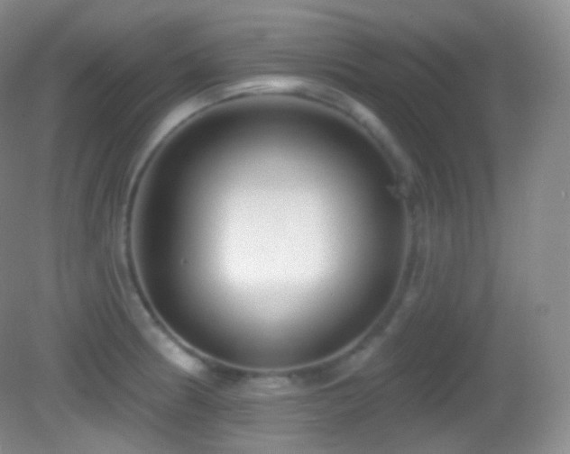 X0000083071186200702021247