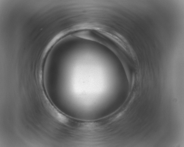 X0000083071188200702021247