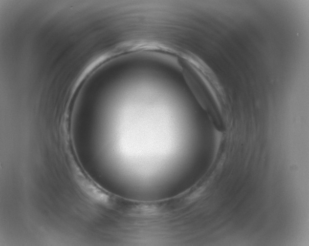 X0000083071190200702021247