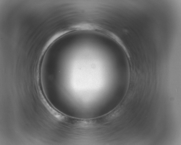 X0000083071195200702021247
