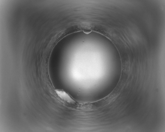 X0000083071201200702021246
