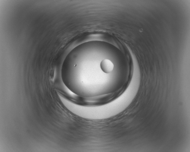 X0000083071202200702021246