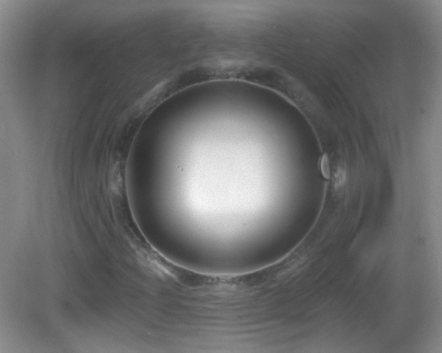 X0000083071204200702021246