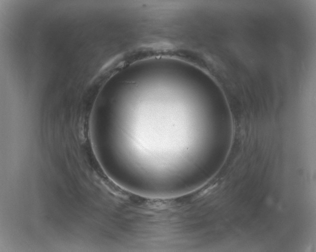 X0000083071205200702021246