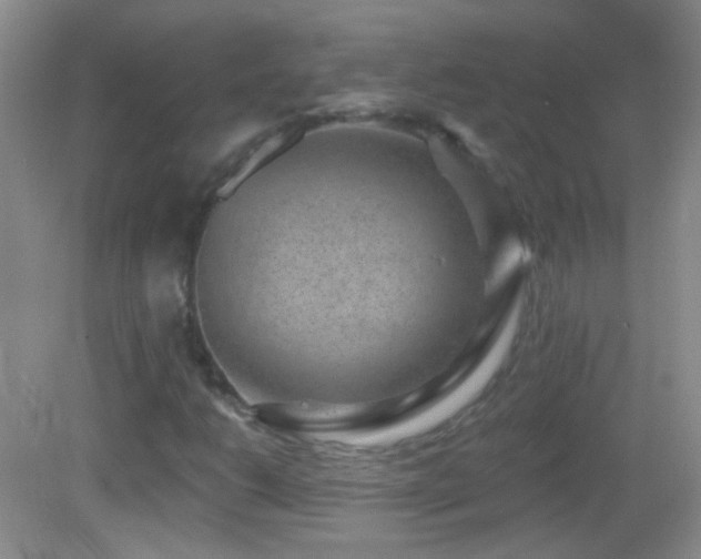 X0000083071206200702021246