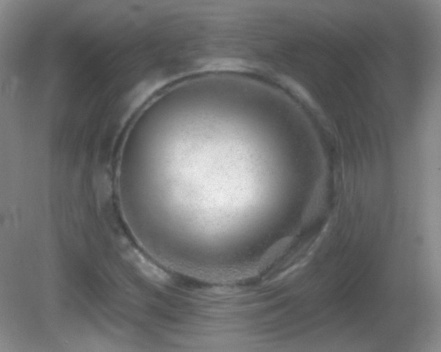 X0000083071212200702021246
