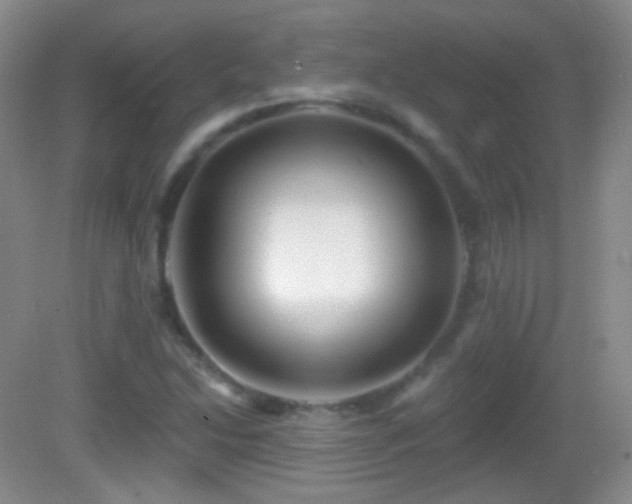 X0000083071214200702021246