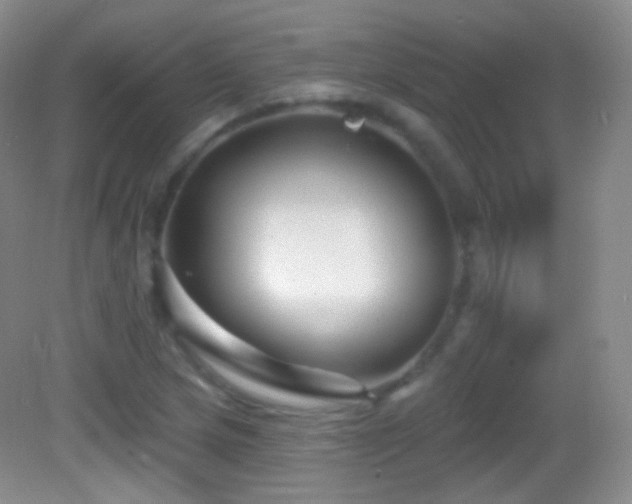 X0000083071217200702021246