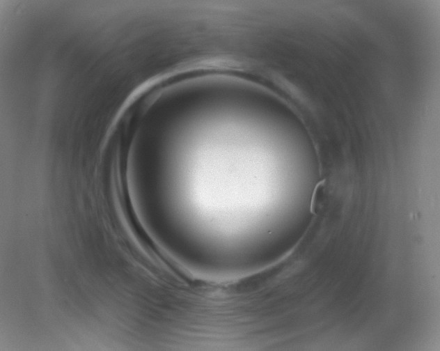 X0000083071222200702021246
