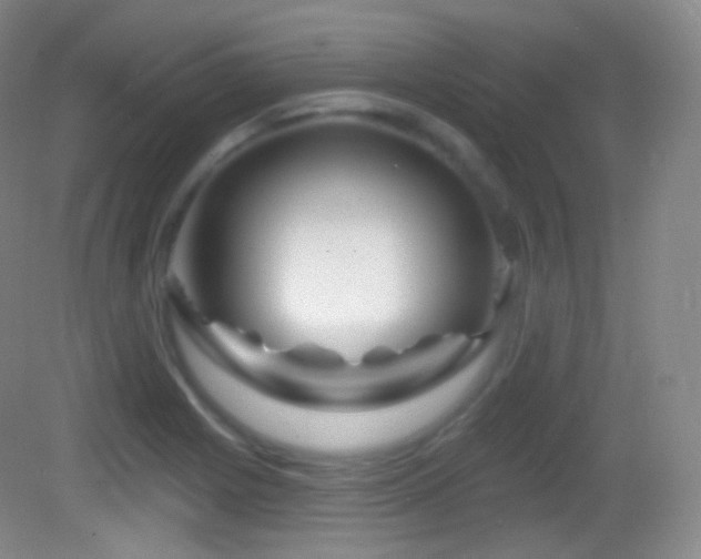 X0000083071225200702021246