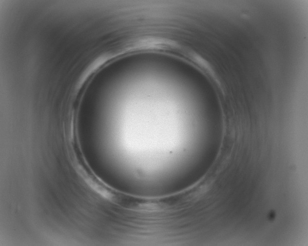 X0000083071227200702021246