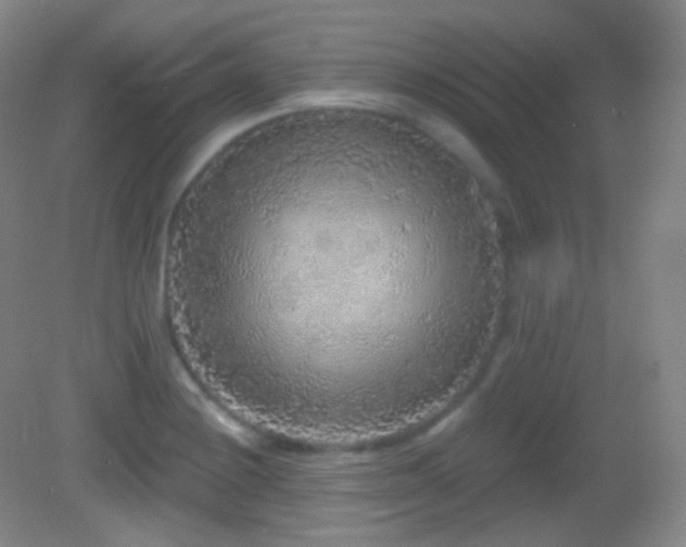 X0000083071228200702021246