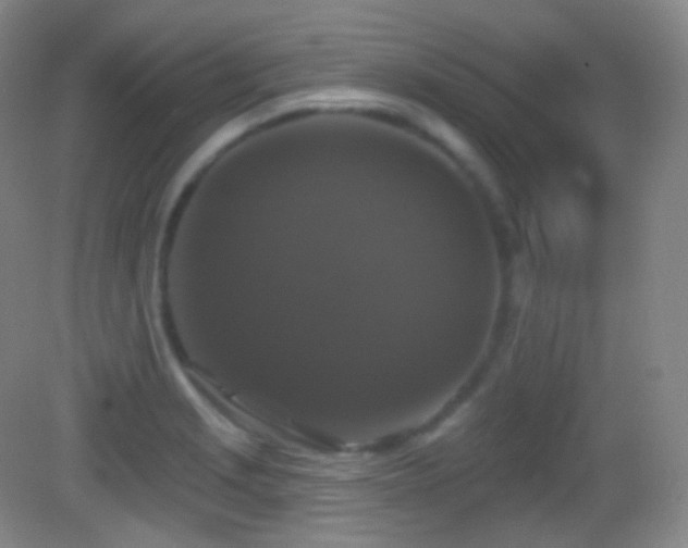 X0000083071229200702021246