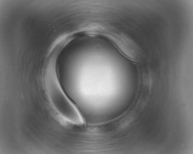 X0000083071230200702021246
