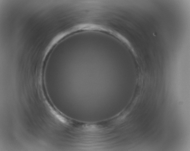 X0000083071231200702021246