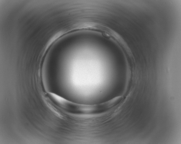 X0000083071234200702021246