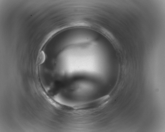 X0000083071236200702021246