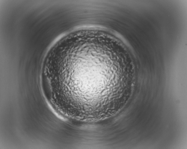 X0000083071237200702021246