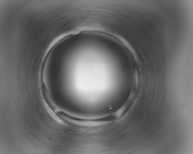 X0000083071246200702021247