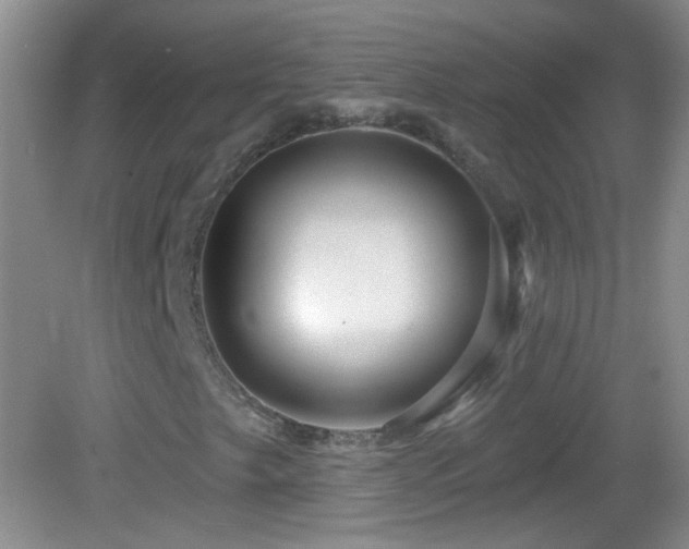X0000083071249200702021246