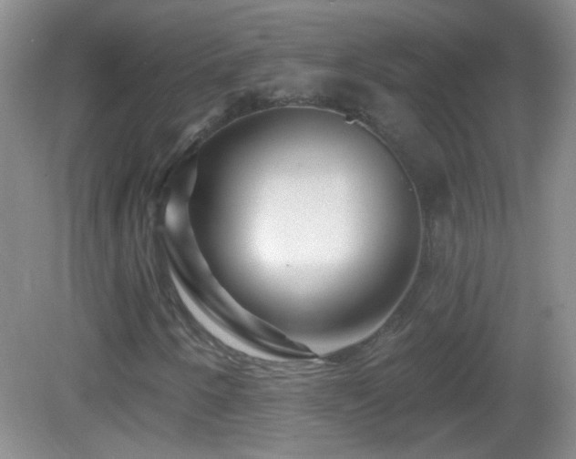 X0000083071250200702021246