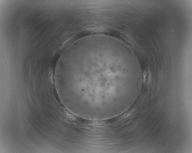 X0000083071251200702021246