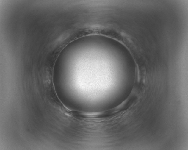 X0000083071253200702021246