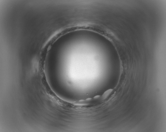 X0000083071256200702021246