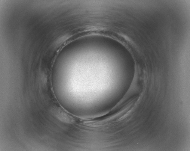 X0000083071257200702021246