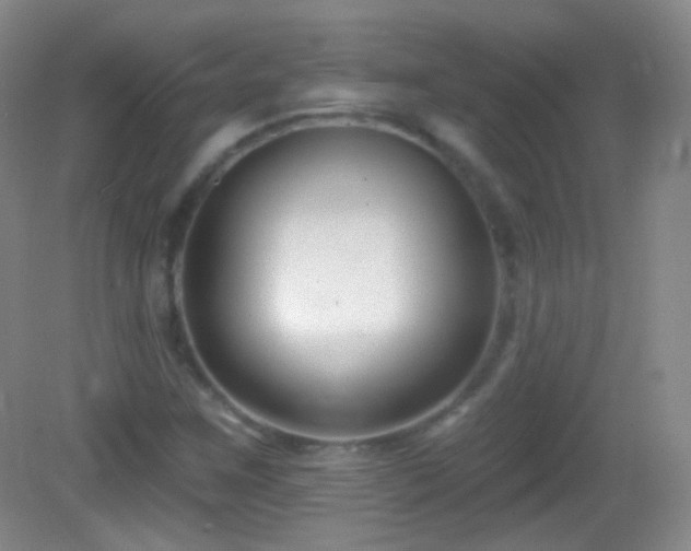 X0000083071259200702021246