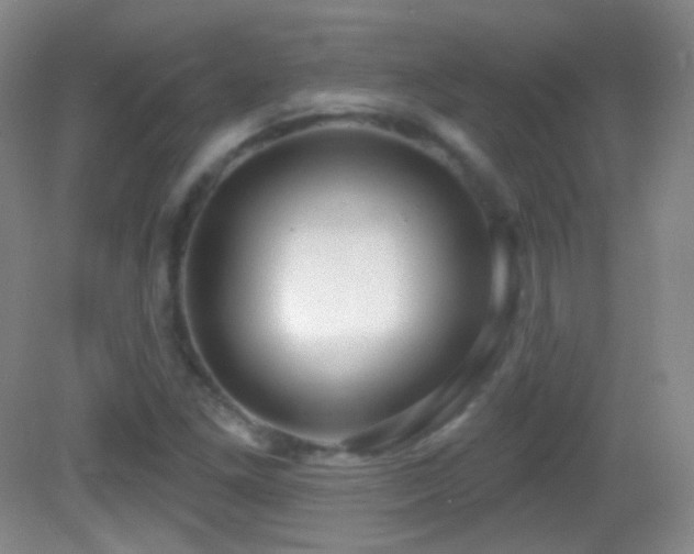 X0000083071261200702021246