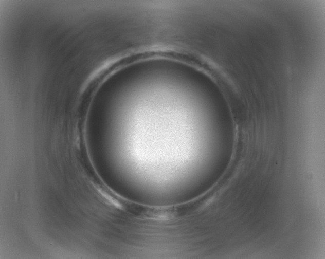 X0000083071262200702021246
