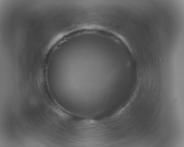 X0000083071263200702021246