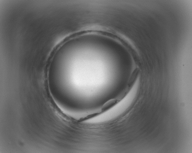 X0000083071264200702021246