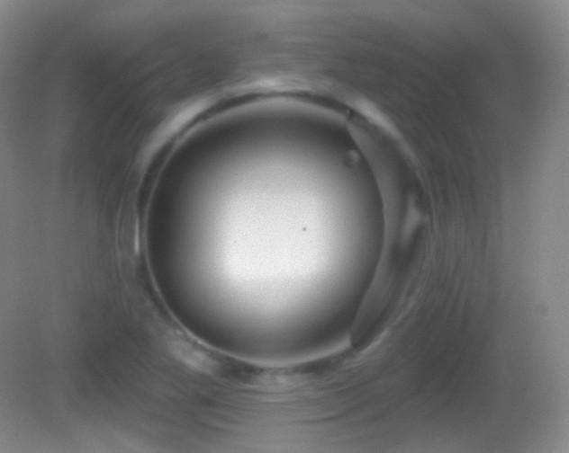 X0000083071269200702021245