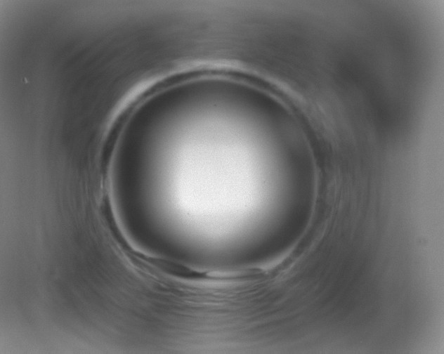 X0000083071271200702021245