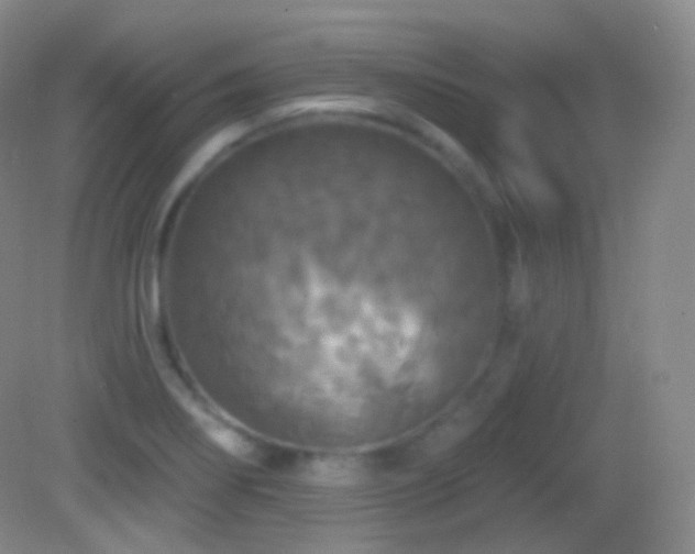 X0000083071274200702021245